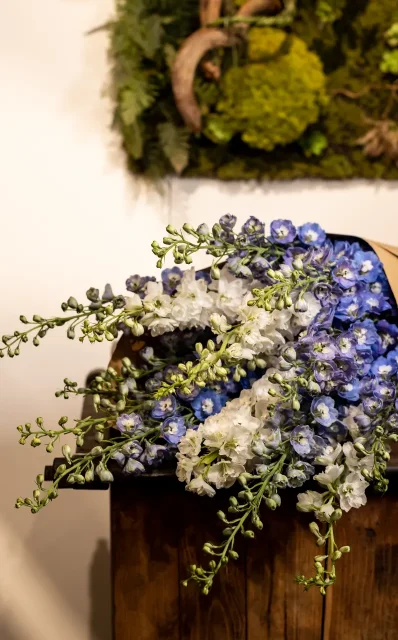Via Pontaccio Fascio di fiori 3