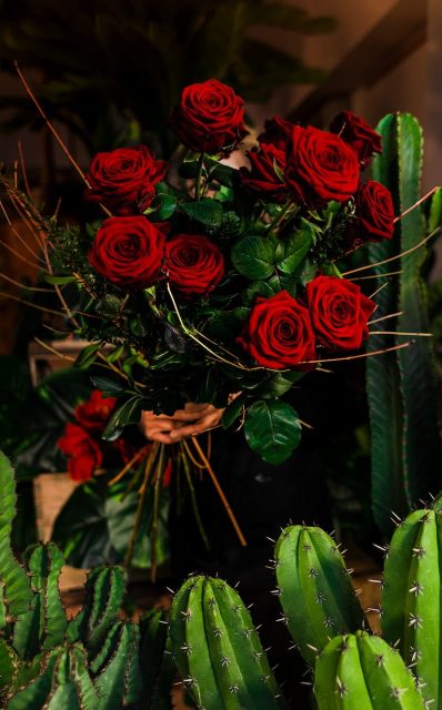rose rosse